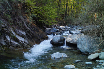 River scene - image #486193 gratis