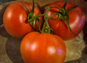 Three Tomatoes - Free image #488243