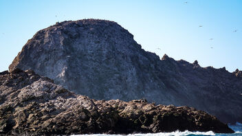 Farallon Islands, San Francisco 11/21/21 - бесплатный image #489213