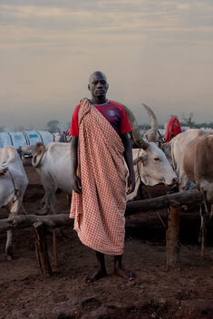 Mundari Cattle Camp - бесплатный image #491273
