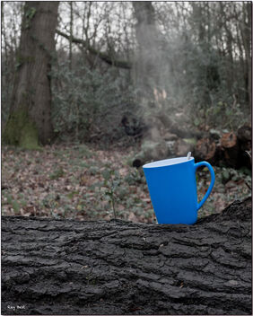 Tea in the forest - бесплатный image #495843