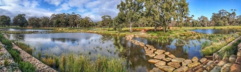 Victoria Park Wetlands, Adelaide Parklands - image gratuit #499543 