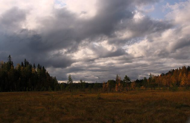 Cloudy marsh - Free image #501133